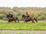 AK021025-71 - Alan King Stable Visit